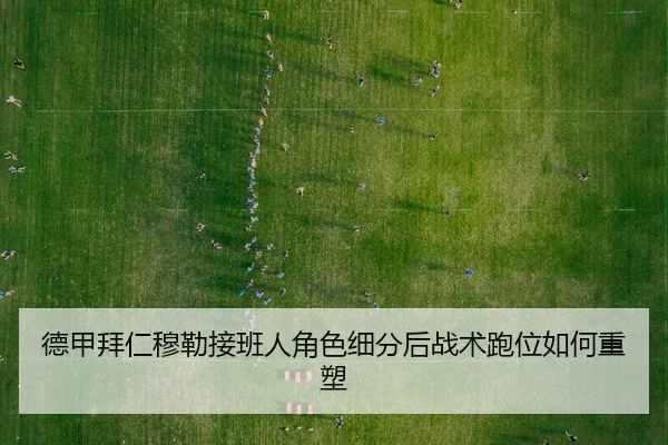 de-jia-bai-ren-mu-lei-jie-ban-ren-jue-se-xi-fen-hou-zhan-shu-pao-wei-ru-he-zhong-su-2-244.jpg