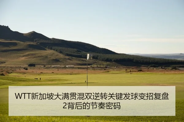 WTT新加坡大满贯混双逆转关键发球变招复盘2背后的节奏密码